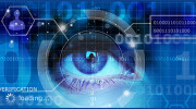 Priority Investigation Associates
