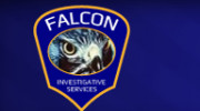 Falcon Investigative Services