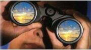 Criminal Investigations