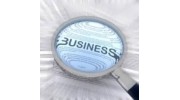 Business Intelligence Investigations